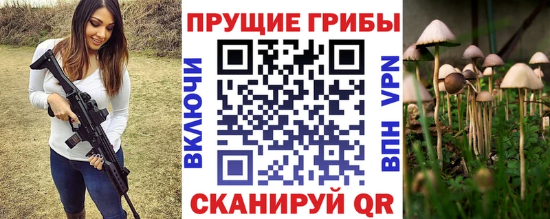 как найти   hydra ONION  Галлюциногенные грибы Psilocybine cubensis  Краснодар 